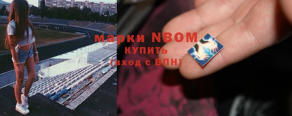 шишки Касимов