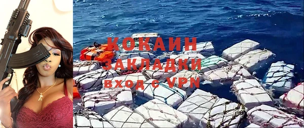 индика Костерёво