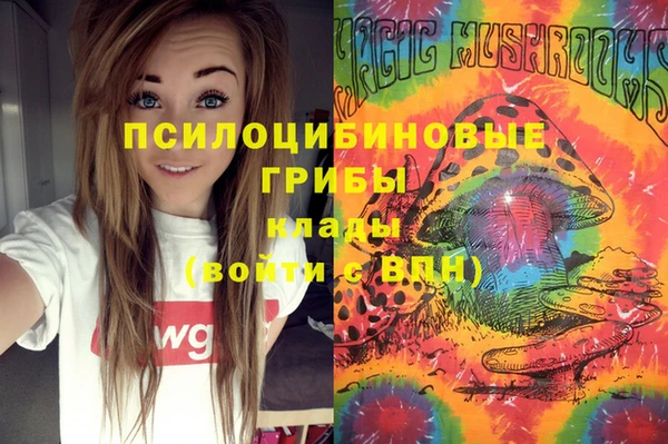 винт Янаул