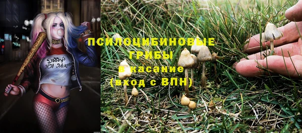 дживик Киренск
