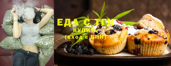 индика Костерёво