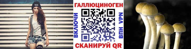 Псилоцибиновые грибы мицелий  Купить закладки  Зеленокумск 